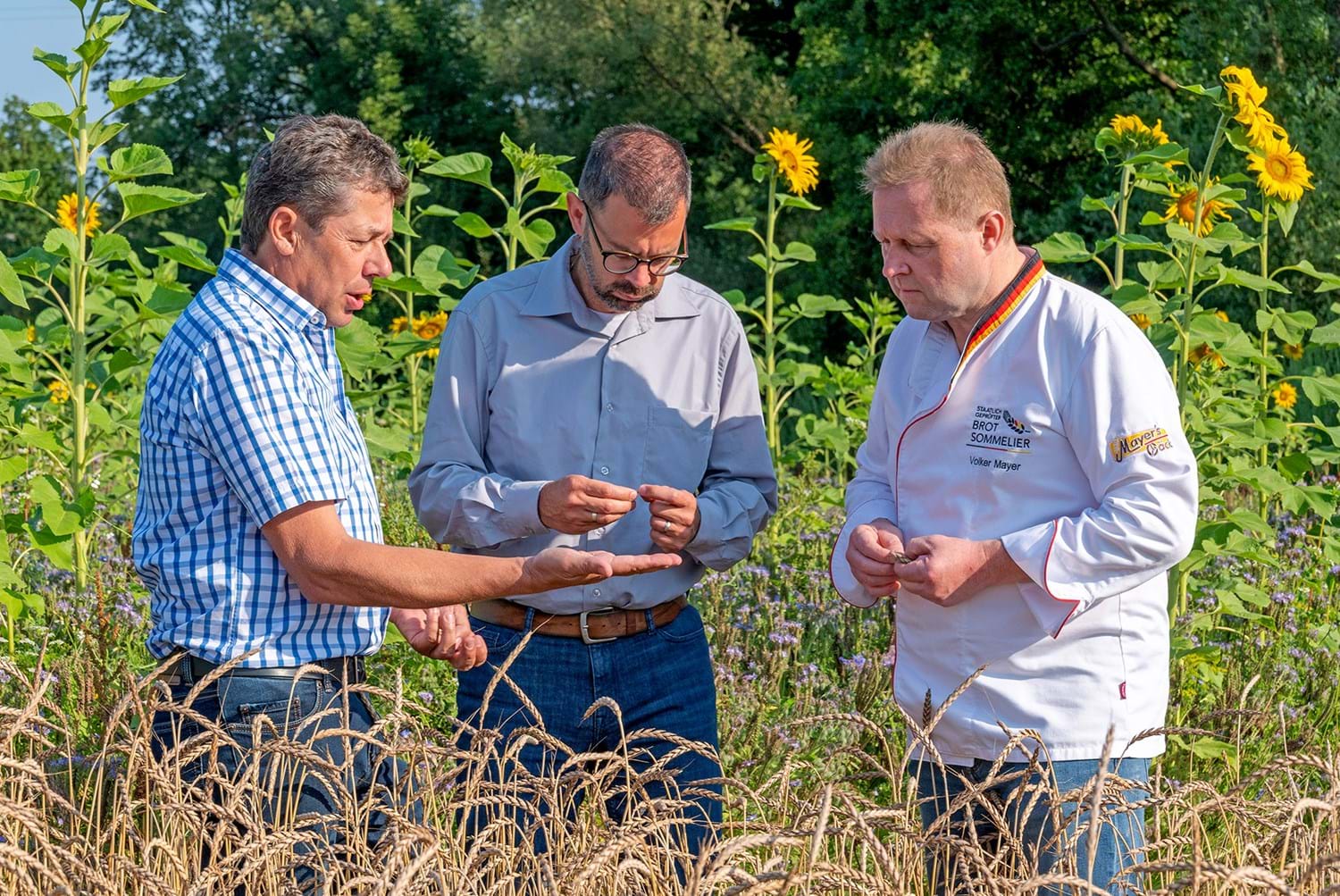Landwirt Matthias Ullmer (links) und Brot-Sommelier Volker Mayer begutachten mit Landrat Jens Marco Scherf das Getreide für das MainLandBrot.